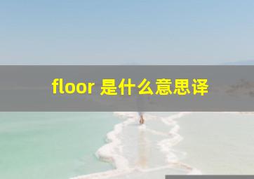 floor 是什么意思译